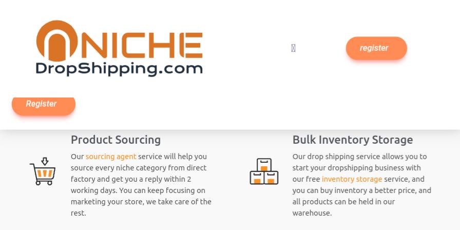 NicheDropshipping