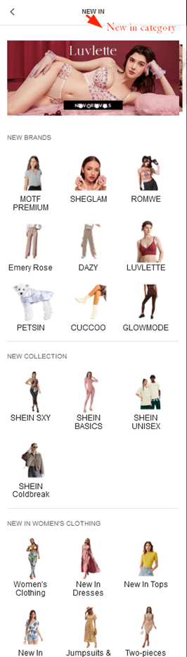 Does Shein Do Dropshipping