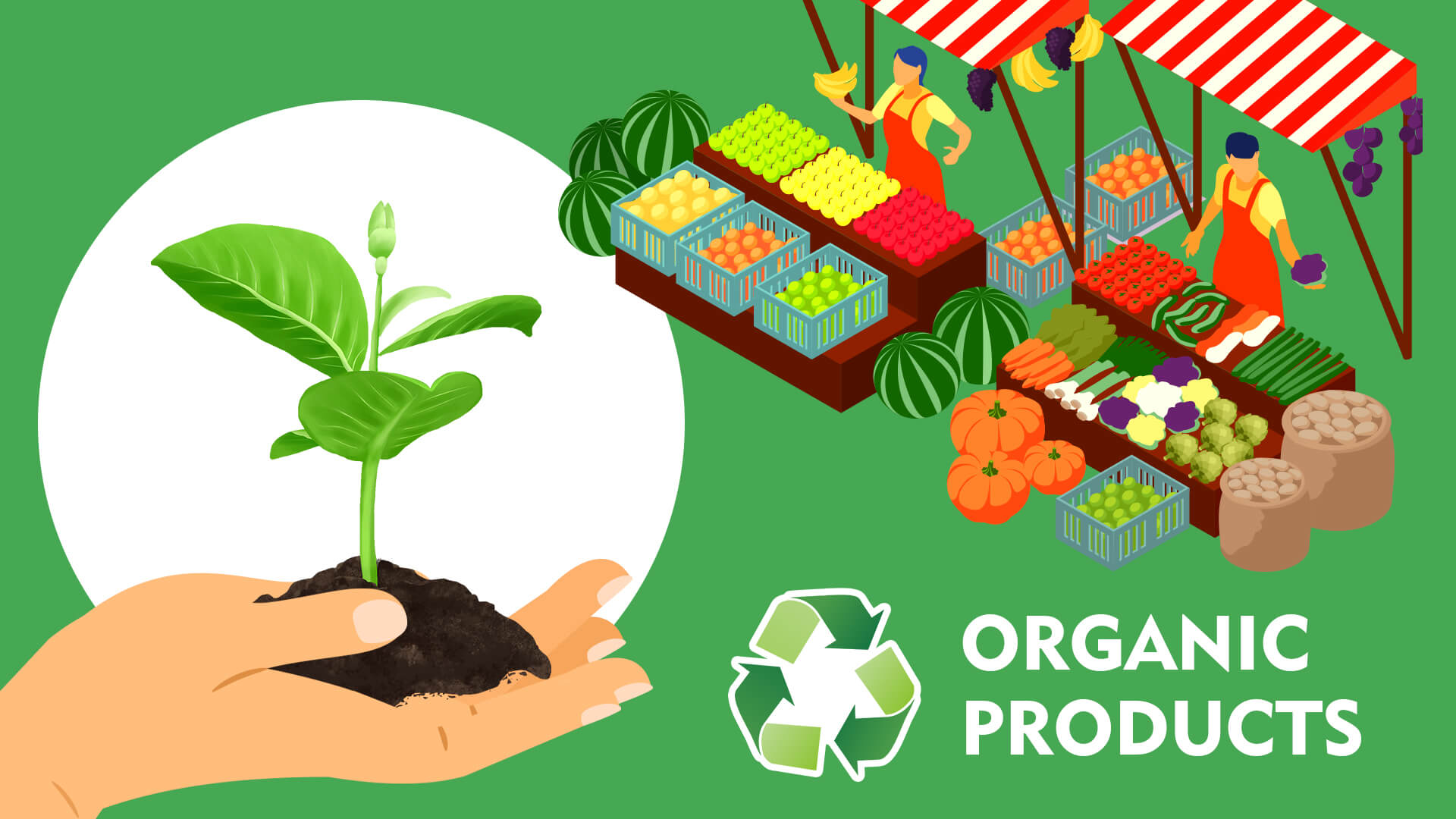 10 Organic Dropshipping Suppliers Every Eco-conscious Dropshipping Business Owner Should Know